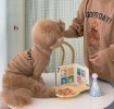 Dog Teddy Bear T-Shirt